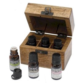 Top 6 Æteriske Olier – Aromaterapiæske