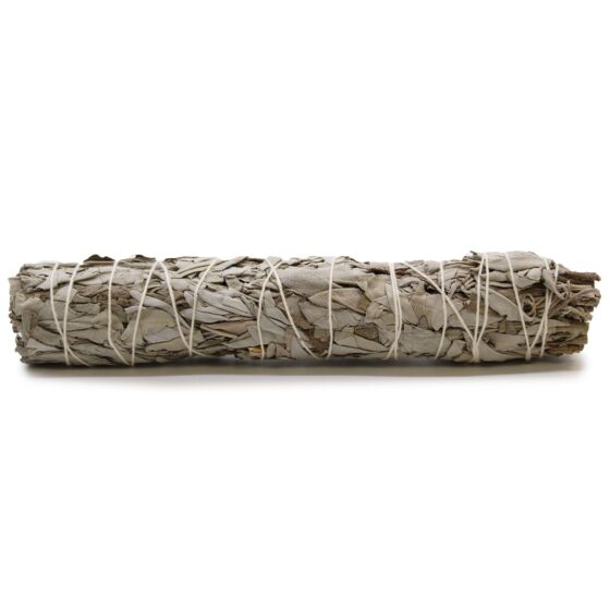 Ancient Wisdom smudge stick – White Sage (22.5 cm) - Billede 1