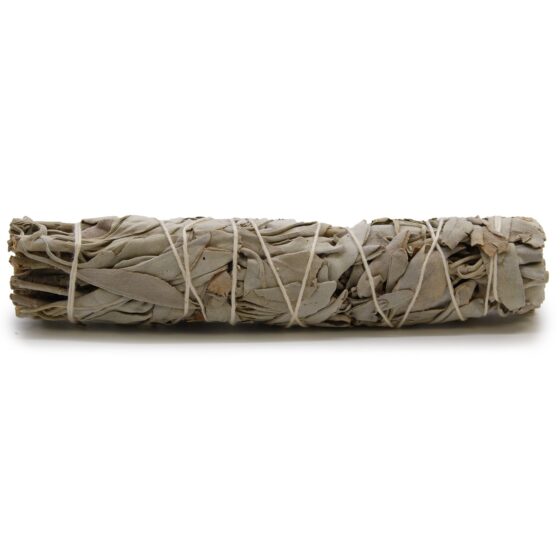 Ancient Wisdom smudge stick – White Sage (15 cm) - Billede 1