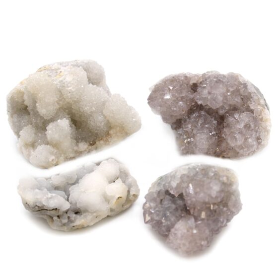 Fingerkvarts – min. 5 stk (1 kg) - Billede 4