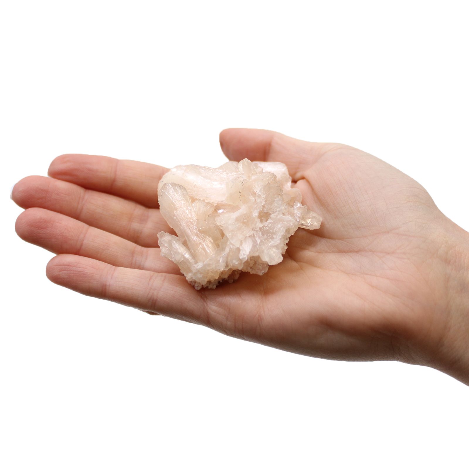 Fingerkvarts – min. 5 stk (1 kg)