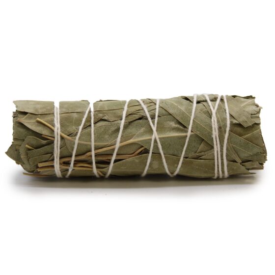 Ancient Wisdom smudge stick – White Sage & Eucalyptus (10 cm) - Billede 1