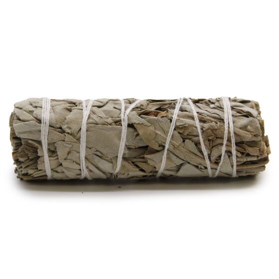 Ancient Wisdom smudge stick – White Sage (10 cm) - Billede 1