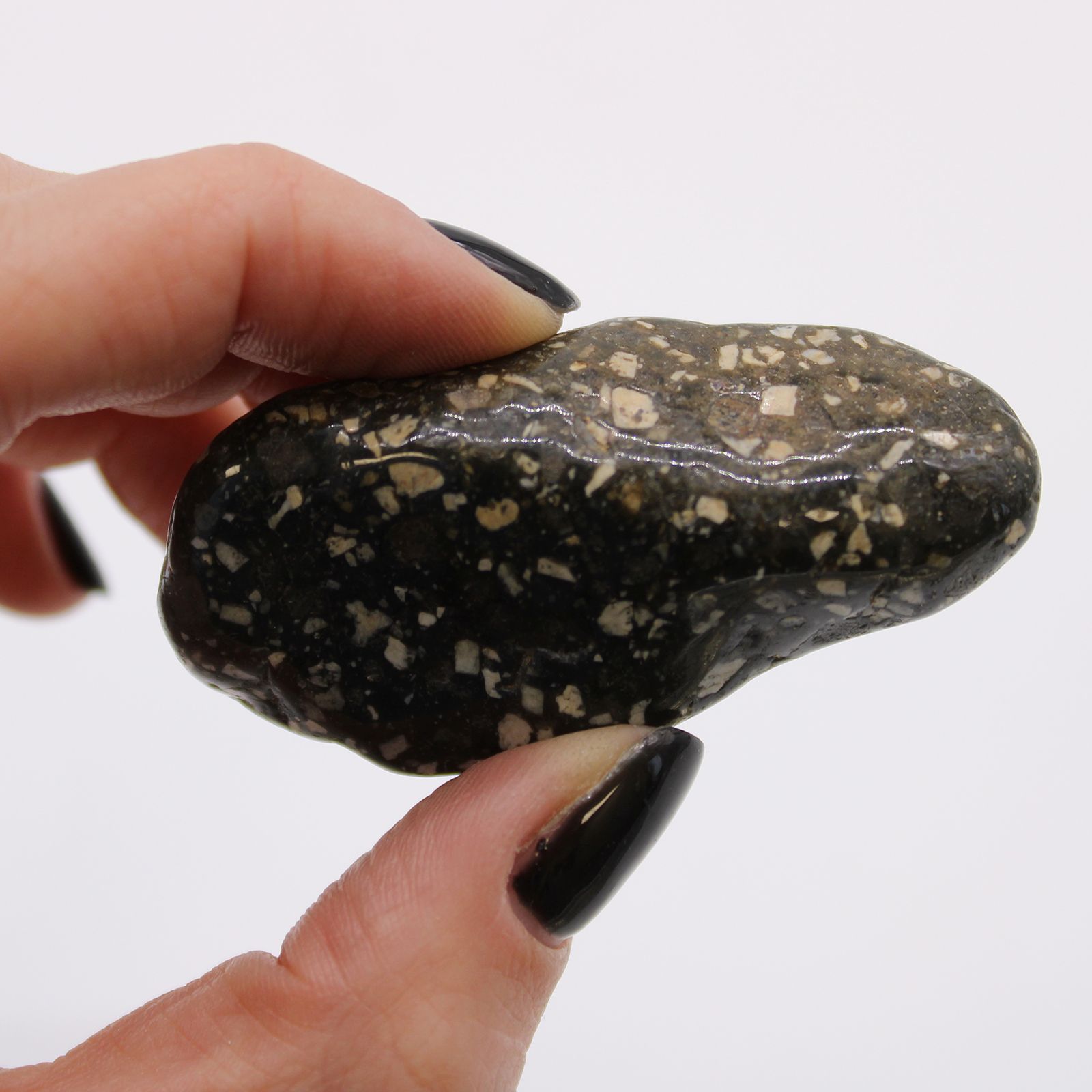 Store afrikanske tromlesten – Guinea Fowl
