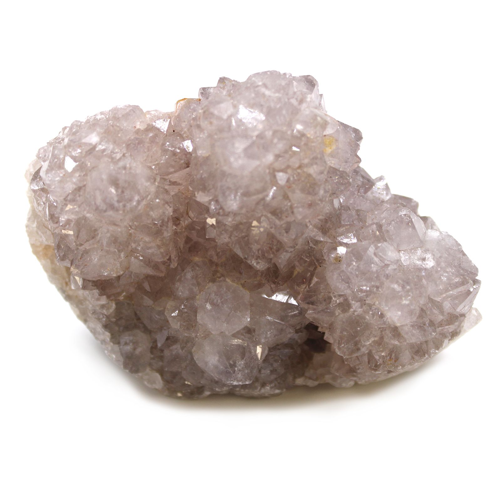 Fingerkvarts – min. 5 stk (1 kg)